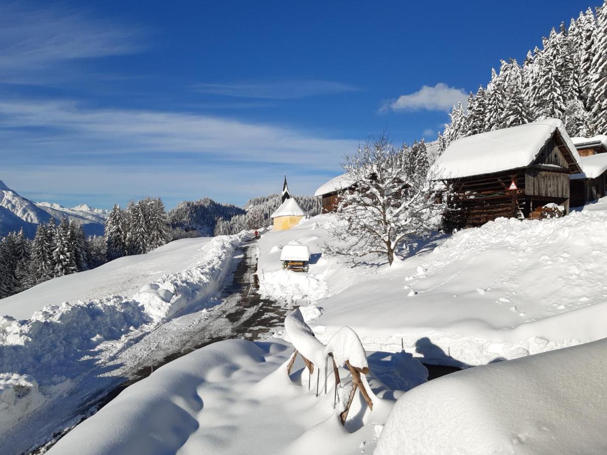 Hauserhof Am Goldberg 德拉什 外观 照片